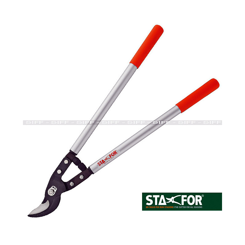 STF 702