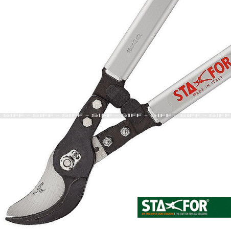 STF 703 2