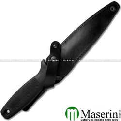 MaserinCPARA 2