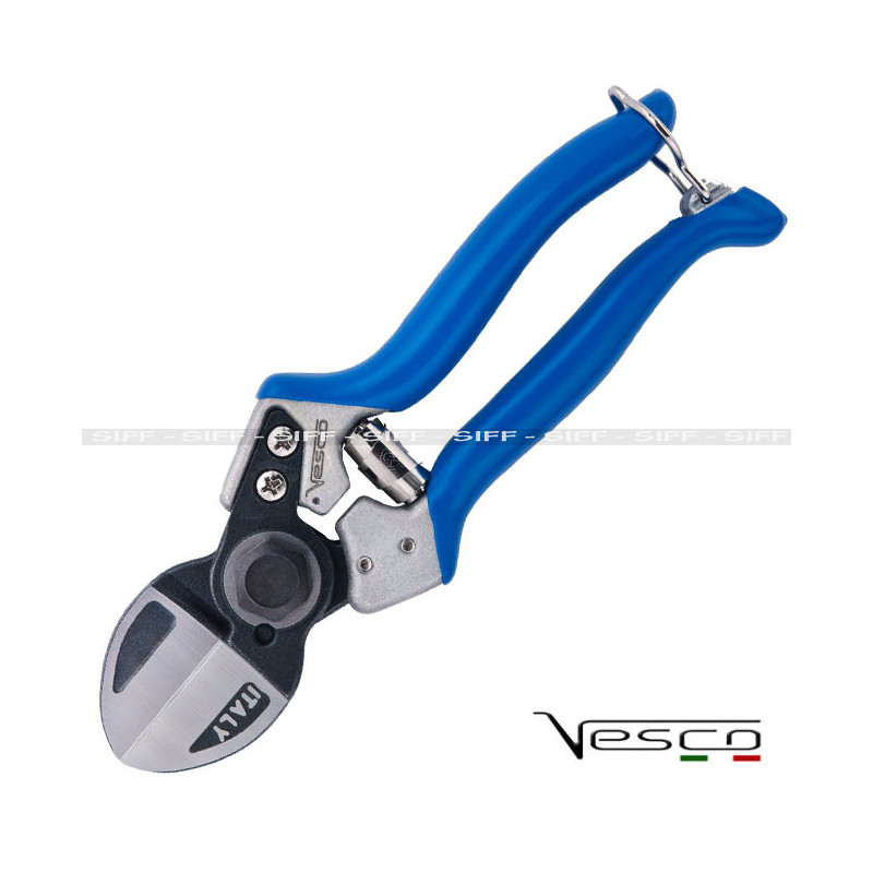 A2S vesco