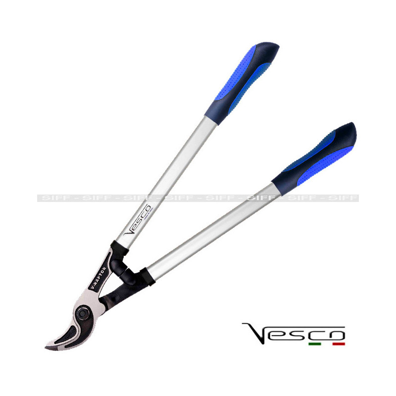 V50