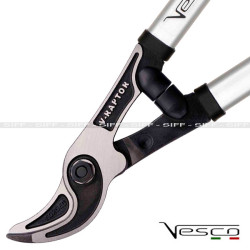 V50 1