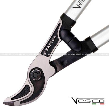 V50 1