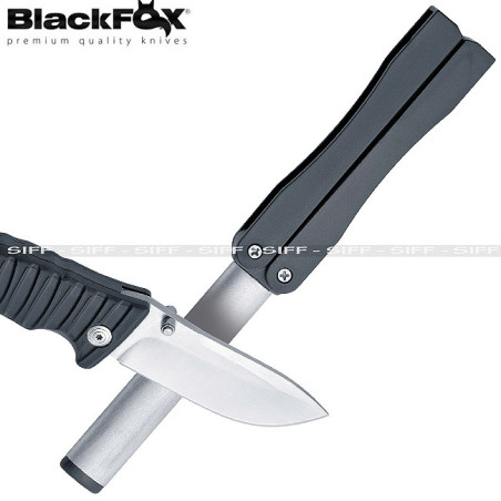 BF 300 1