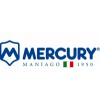 https://www.siff.it/image/cache/data/loghi-produttori/logo-mercury-maniago-100x100.jpg